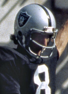 Ray Guy Agent
